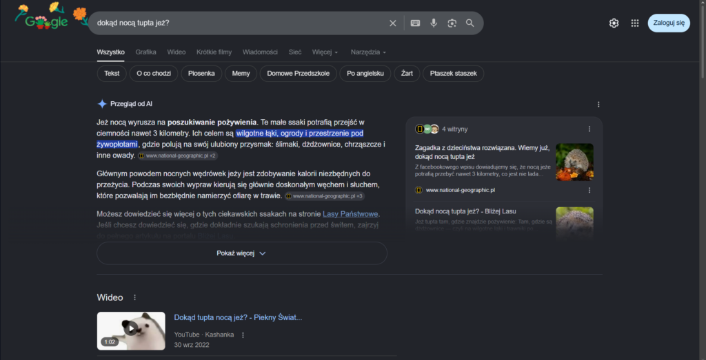 Koniec SEO i copywritingu? Przegląd od AI w wynikach wyszukiwania Google.